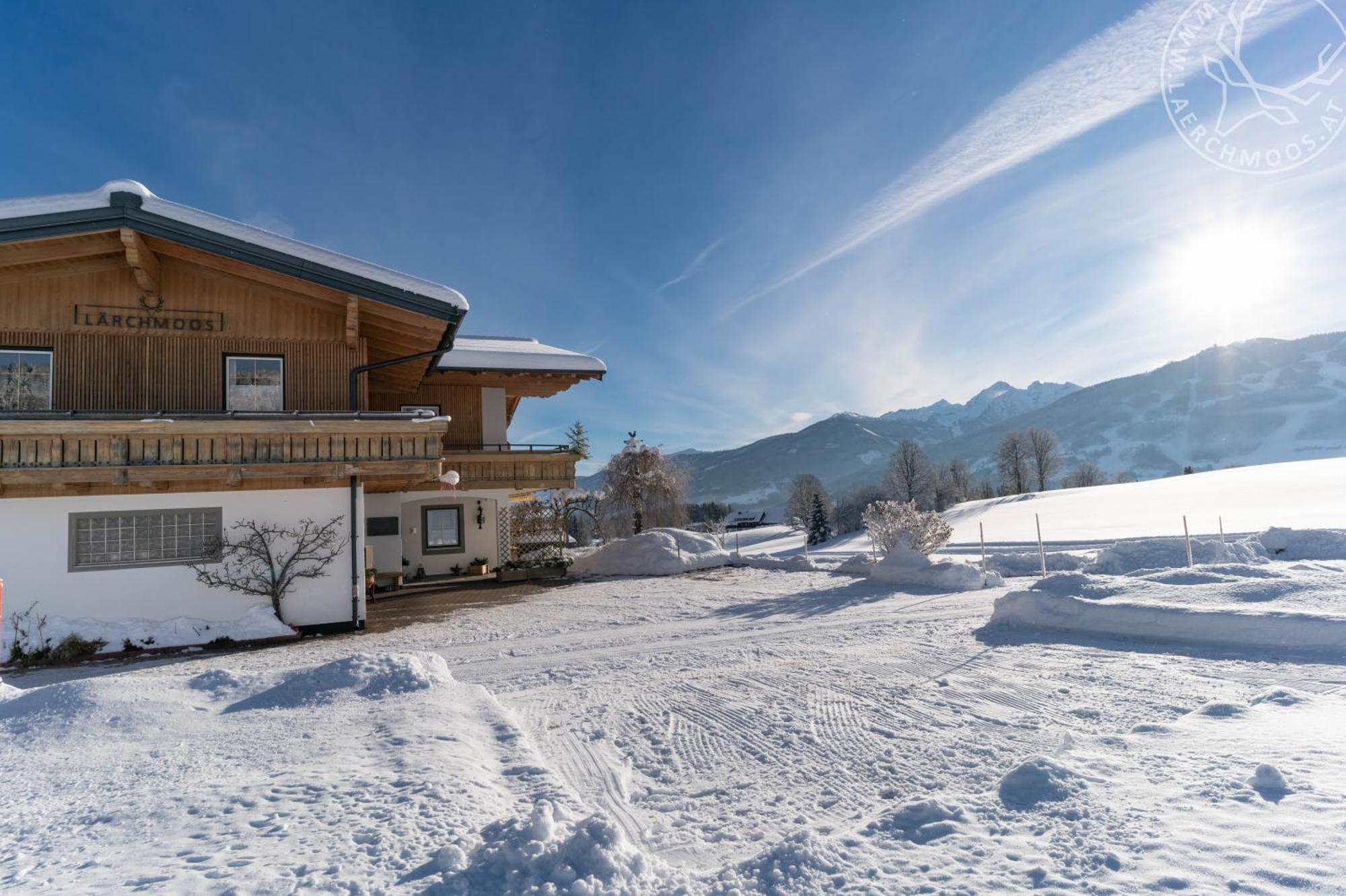 Appartements Laerchmoos Ramsau am Dachstein Eksteriør bilde