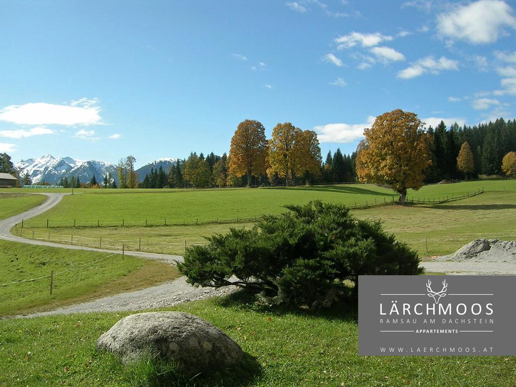Appartements Laerchmoos Ramsau am Dachstein Eksteriør bilde
