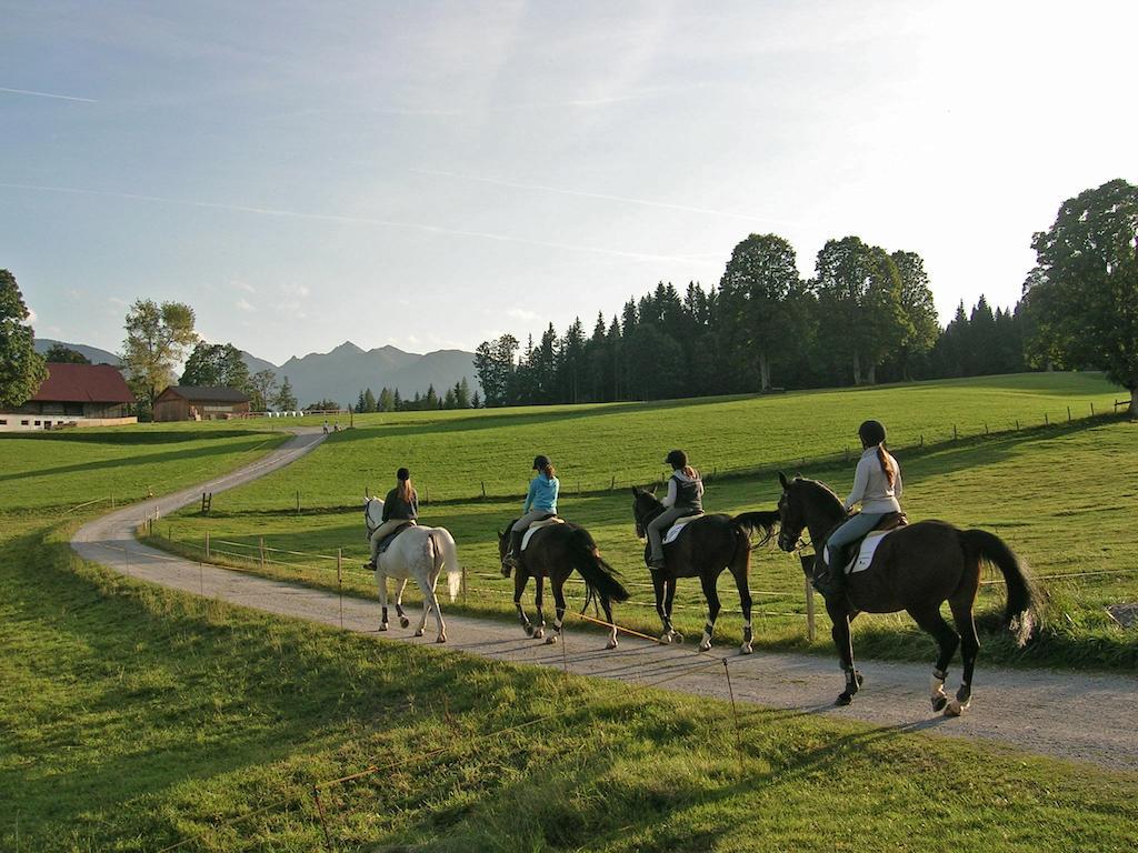 Appartements Laerchmoos Ramsau am Dachstein Eksteriør bilde