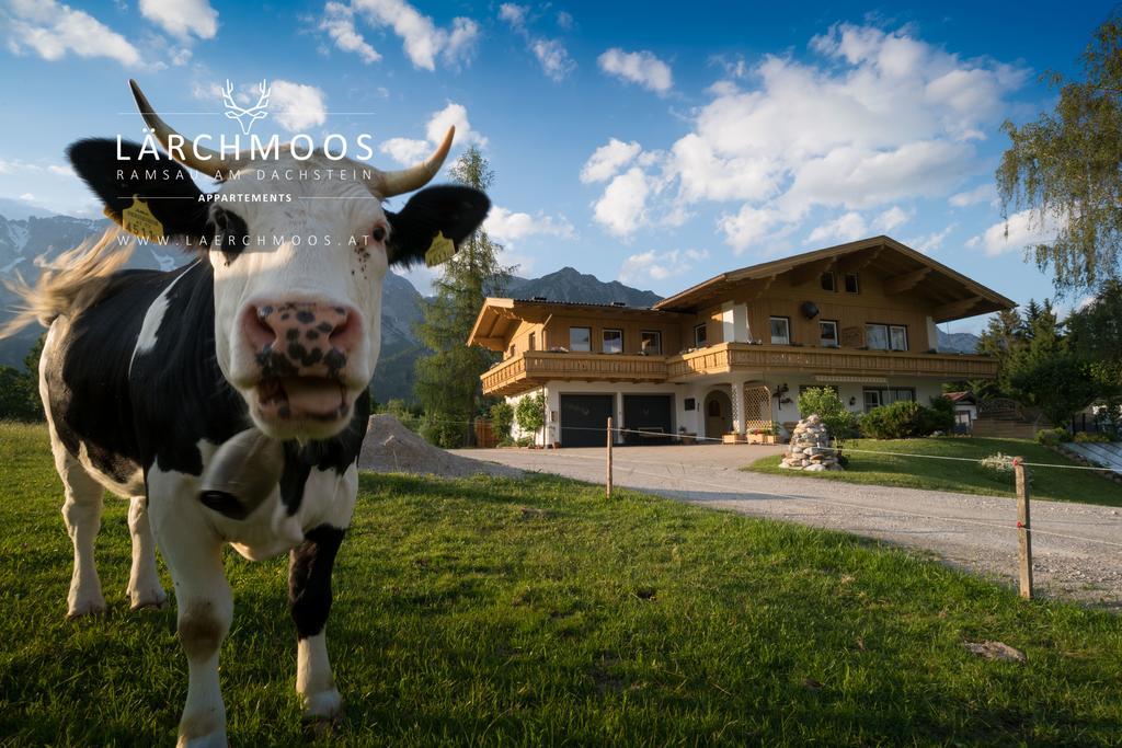 Appartements Laerchmoos Ramsau am Dachstein Eksteriør bilde